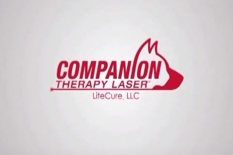 Companion Laser Logo